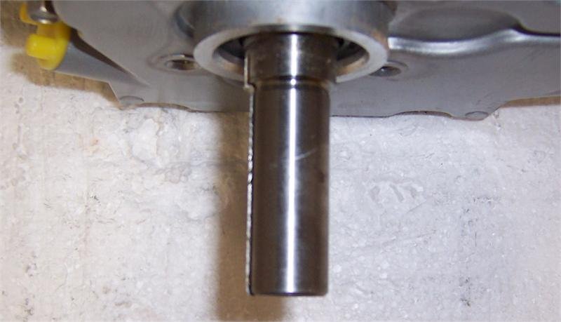 100_5361_cb803e45-c1dc-4ba6-ba51-248c9e7e2c49