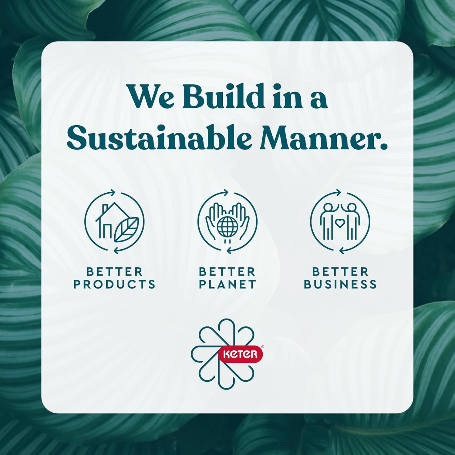 71U-XShjRGL._AC_SL1500