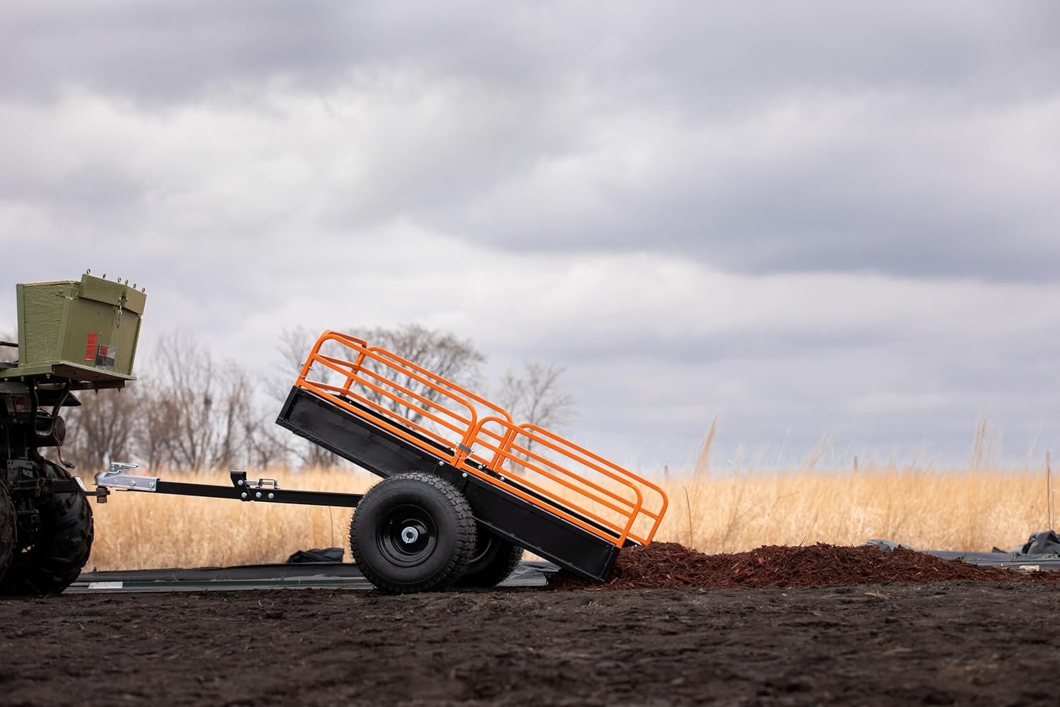 71nqZ9ldQwL._AC_SL1500