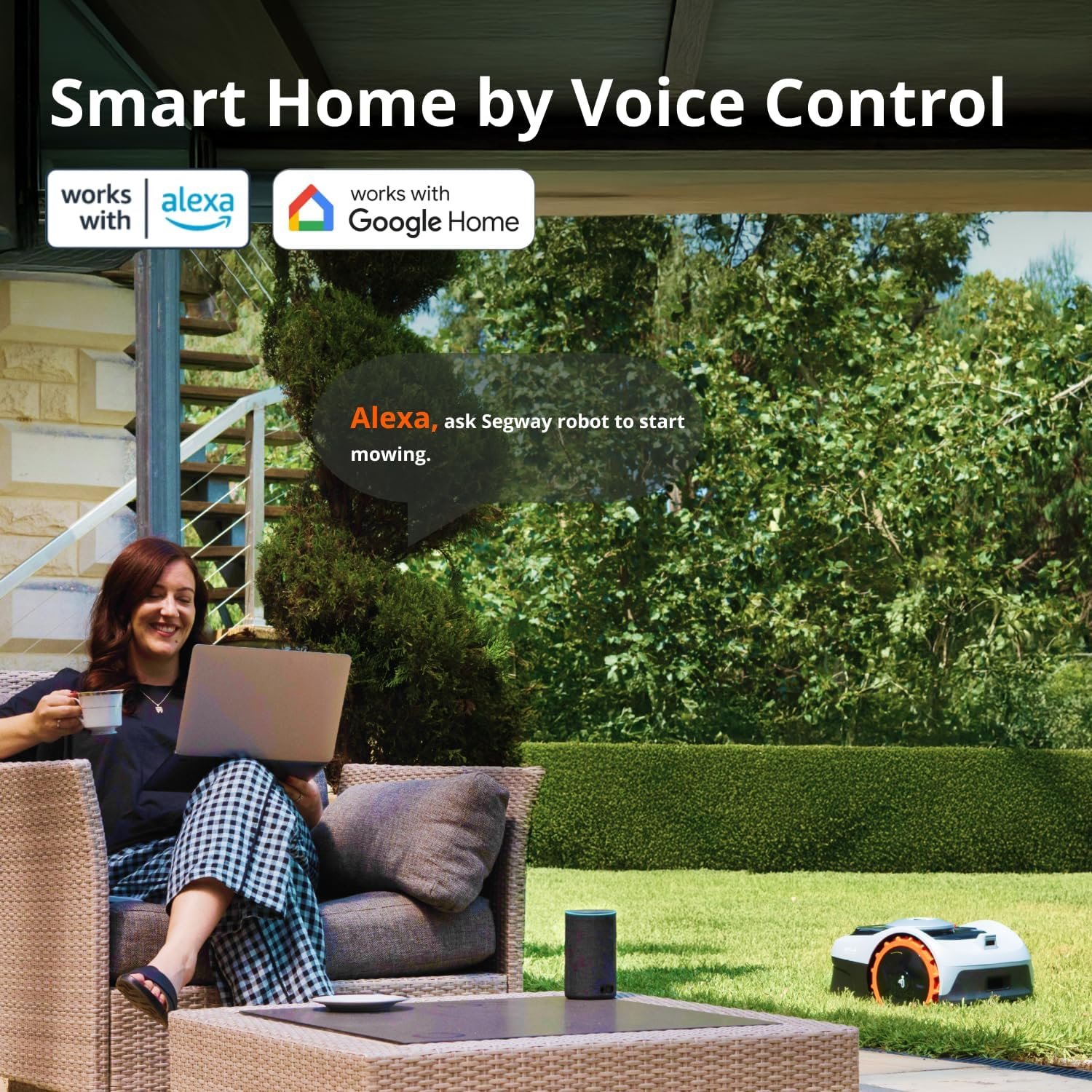 810-UfVn2wL._AC_SL1500