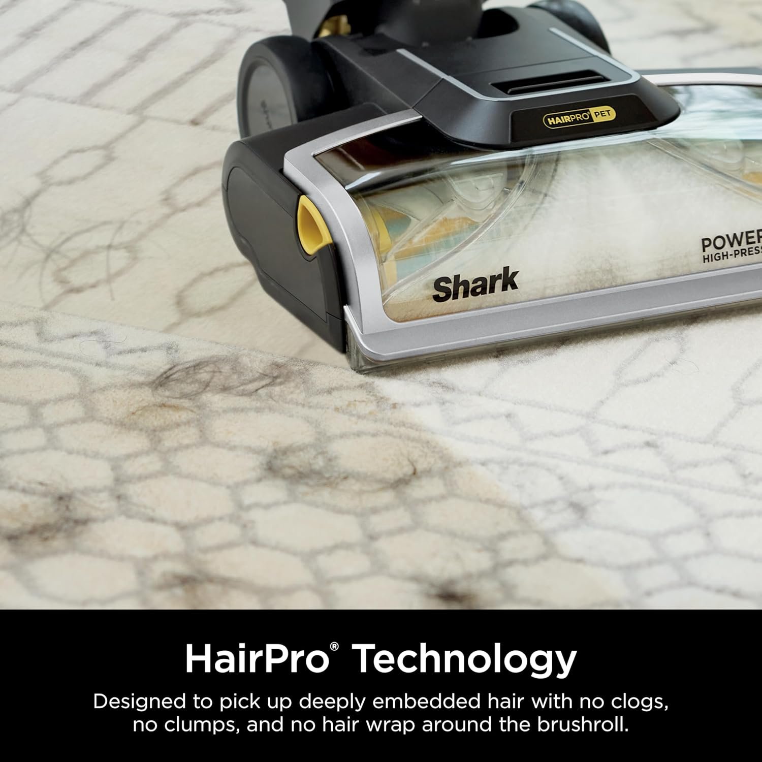 81GOjbpBZBL._AC_SL1500