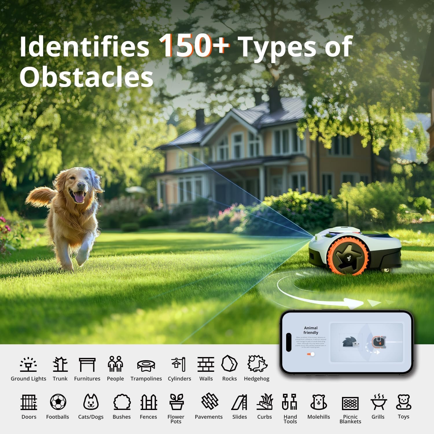 81KMfT6vFXL._AC_SL1500