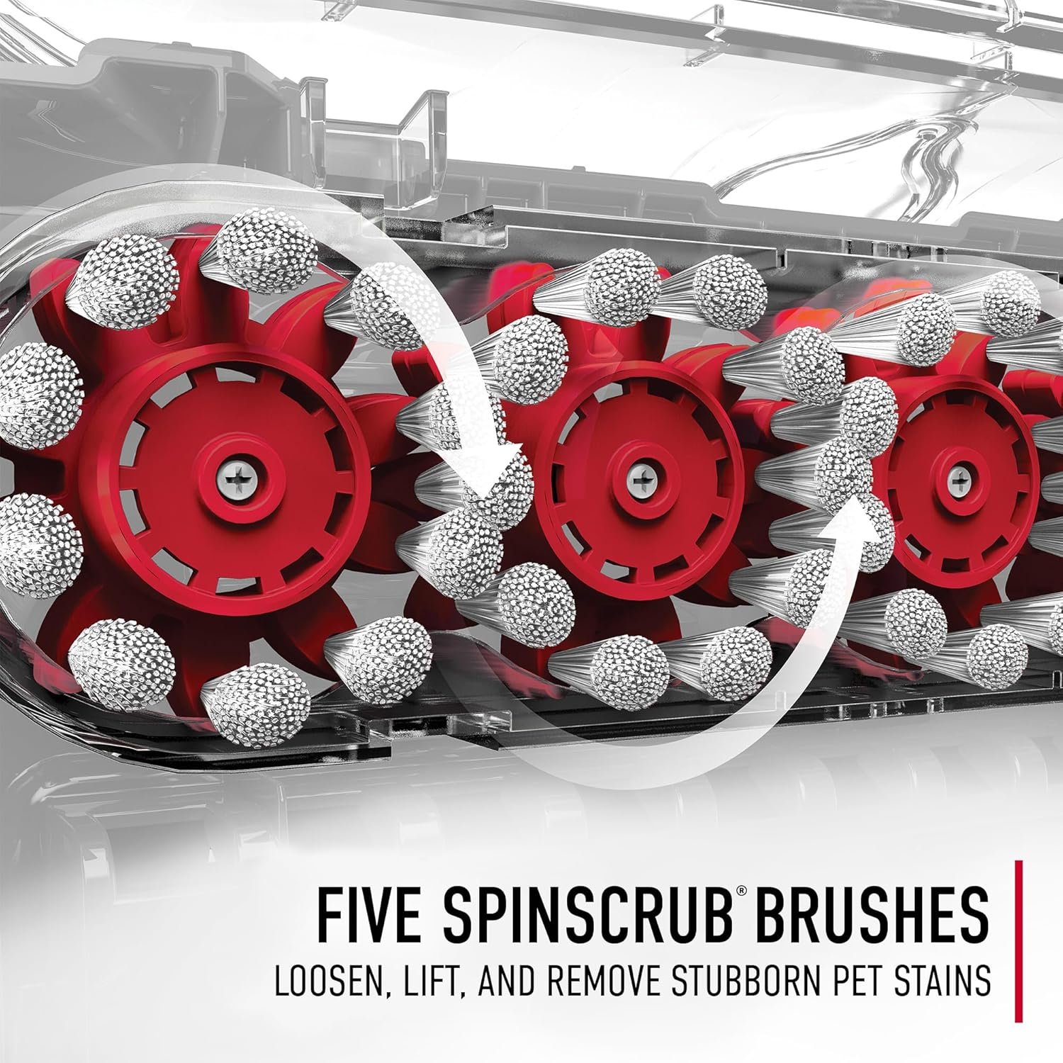 81PzvgZvqsL._AC_SL1500