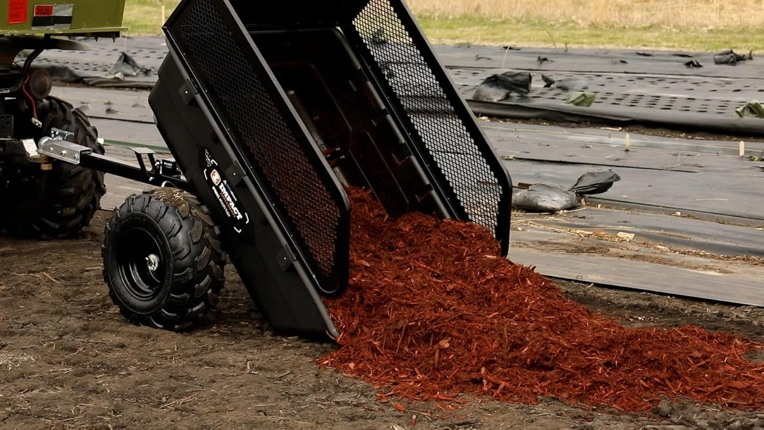 81RuQzdO_1L._AC_SL1500