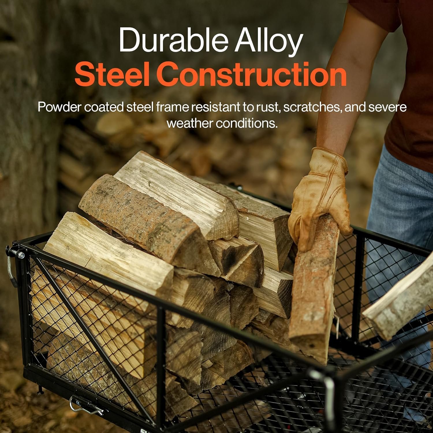 81drRFl6qPL._AC_SL1500