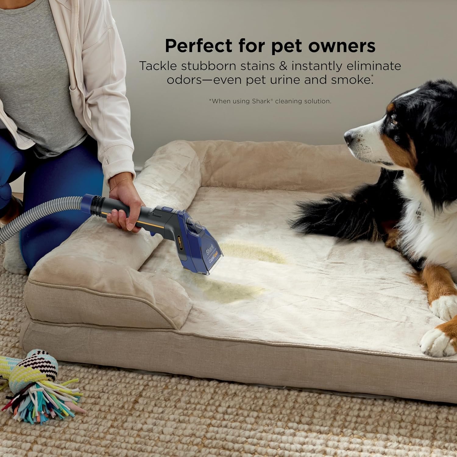 81hKYSsj9jL._AC_SL1500