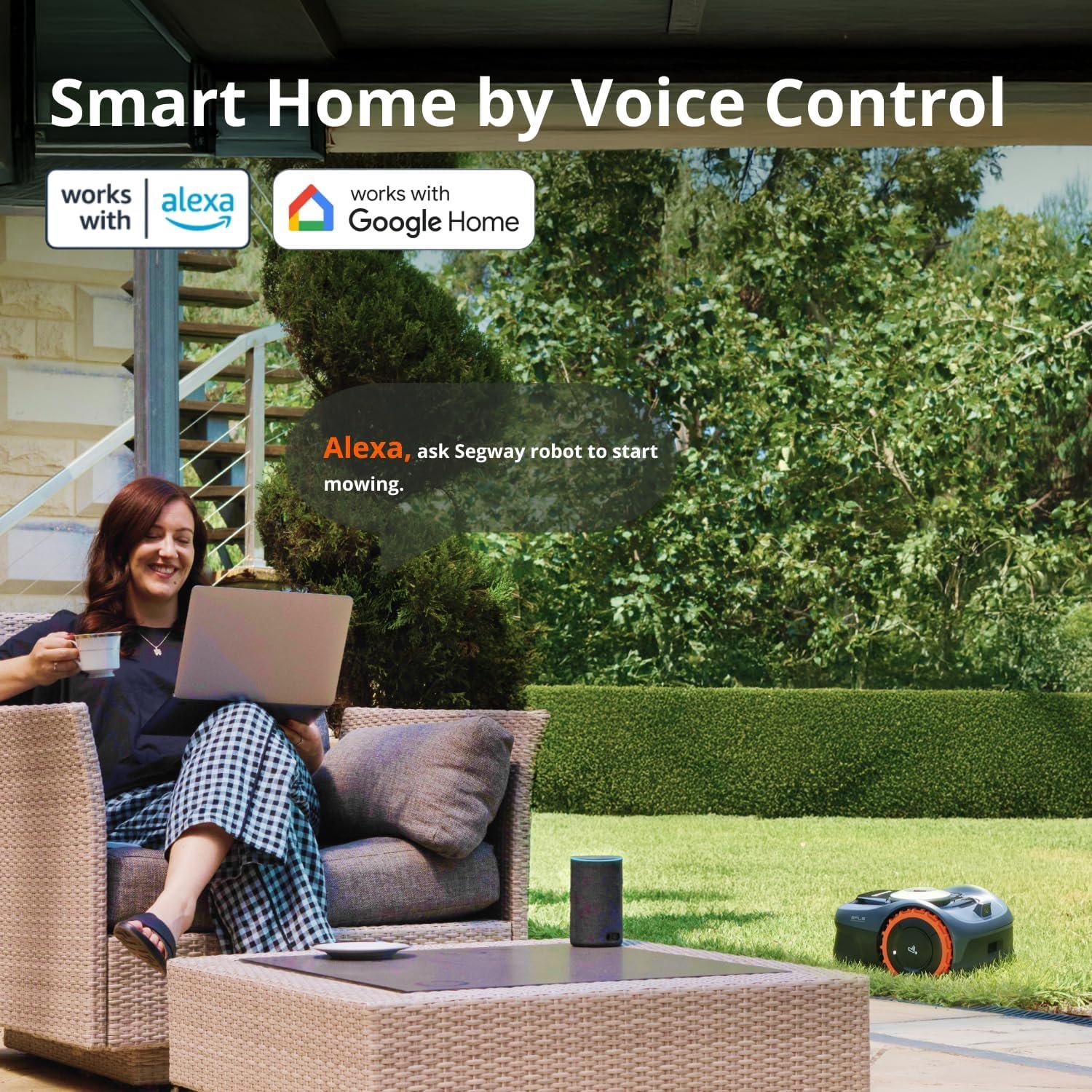 81urIunwgcL._AC_SL1500