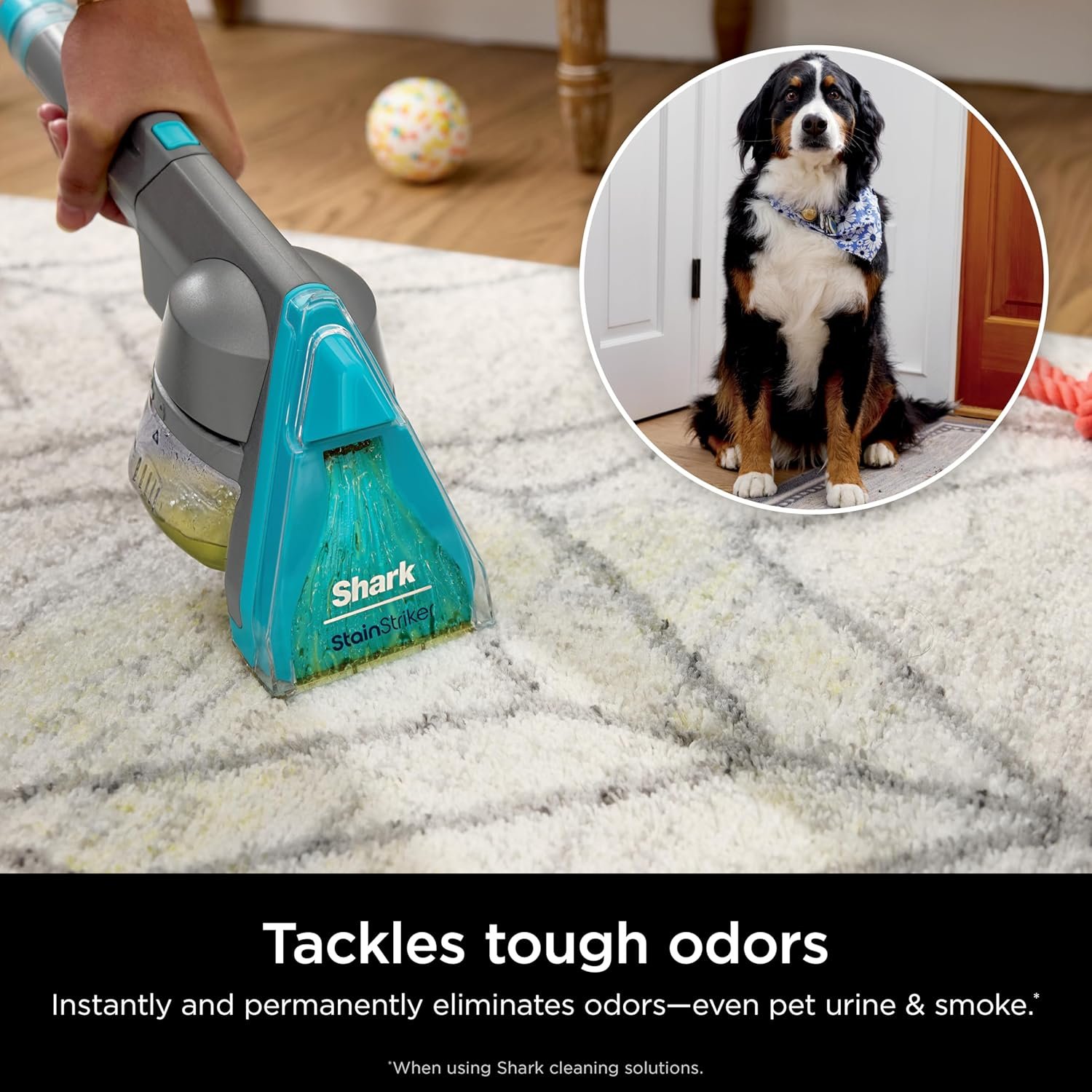 81v78aygtVL._AC_SL1500