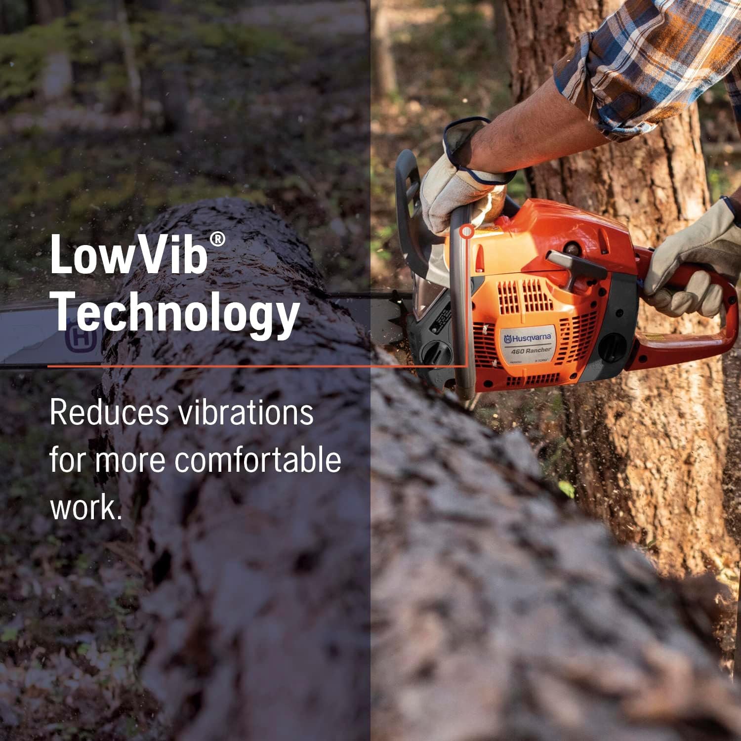 71Q6EWs6HZL._AC_SL1500_041bfc1e-5b47-4f0b-b8ff-c3d65615e351