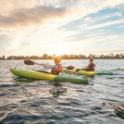 bf533ee4-14ed-45b6-8a19-00c62b458700