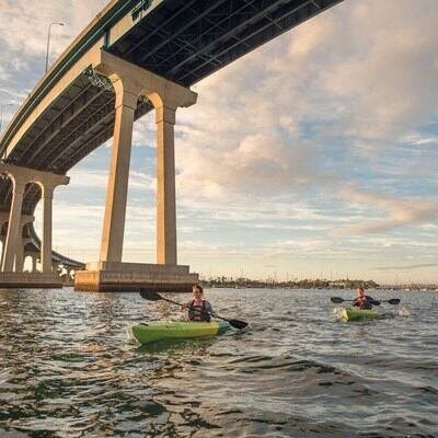 d781cdac-16a3-424a-ac75-06f7211e8b66