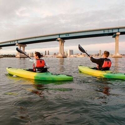 d9c9e822-880c-4c61-b36c-68bcff483718